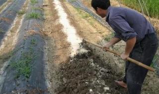 偏酸性土壤标准 什么是酸性土壤